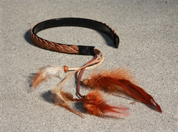 Feather Headband